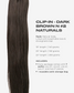 darkbrown