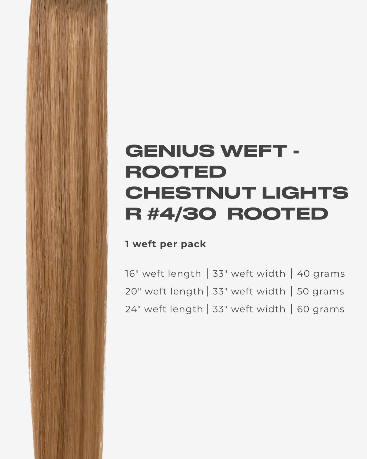 rootedchestnutlights
