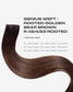 rootedgoldenbearbrown