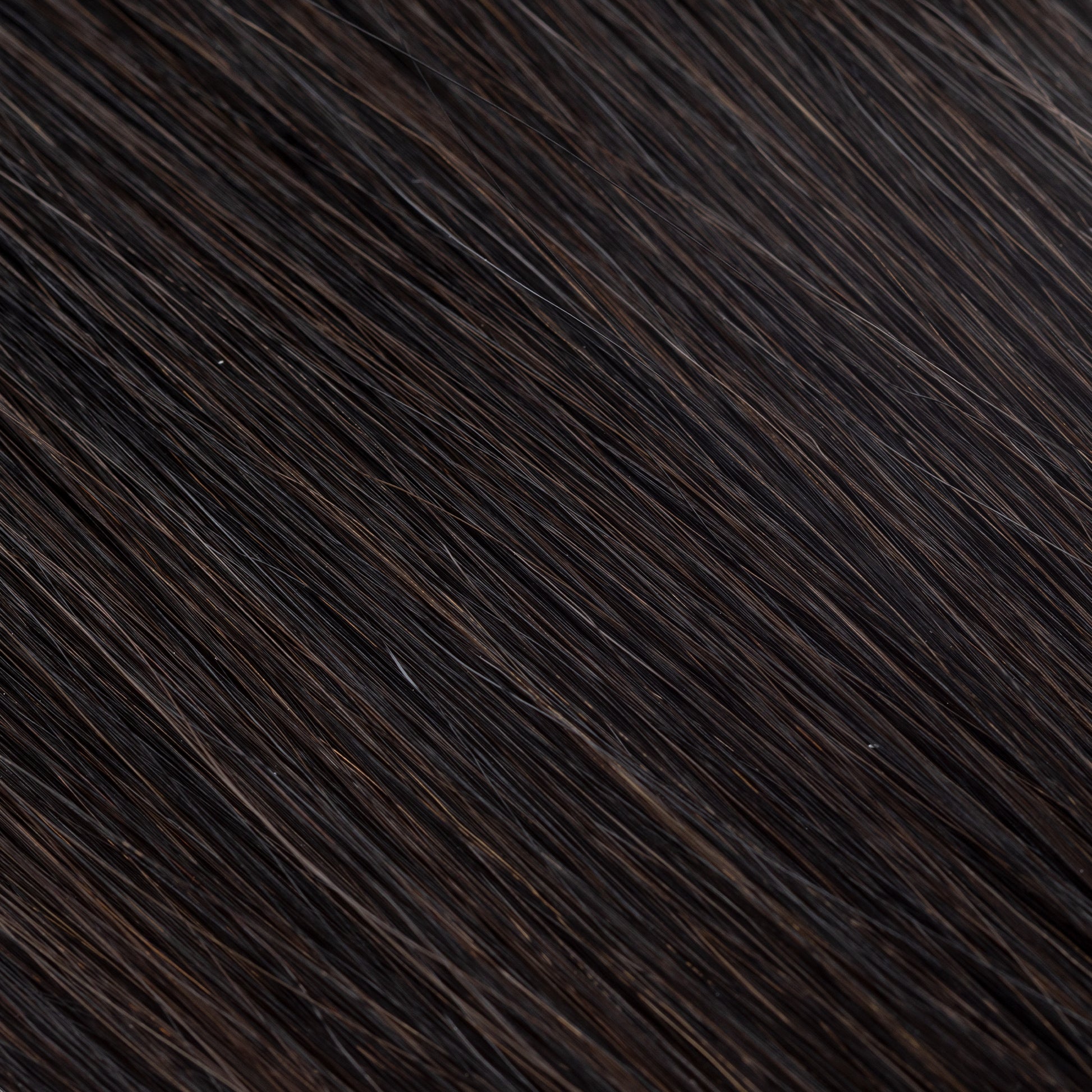 chocolatetruffle