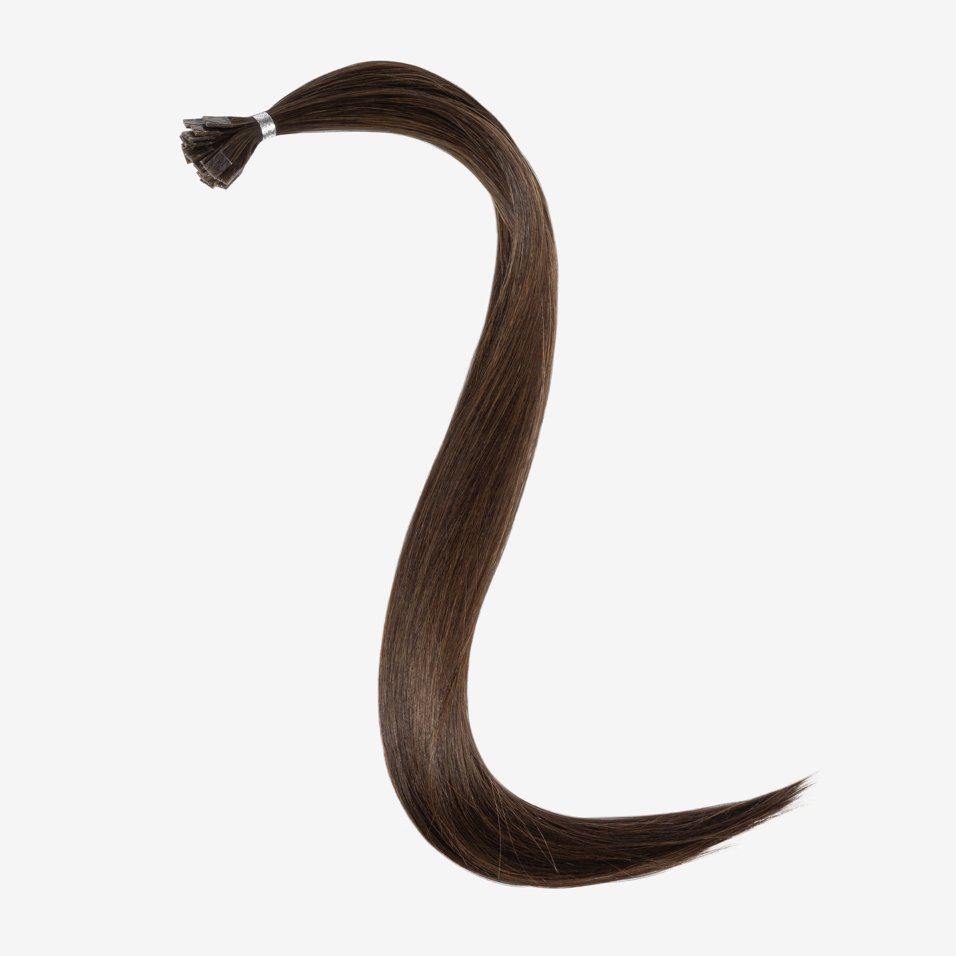 cocoabean