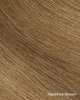hazelnutbrown