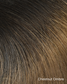chestnutombre