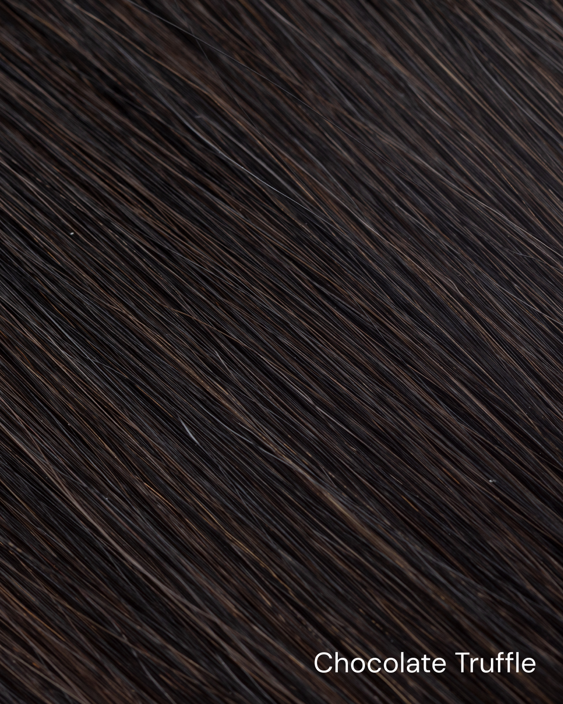 chocolatetruffle