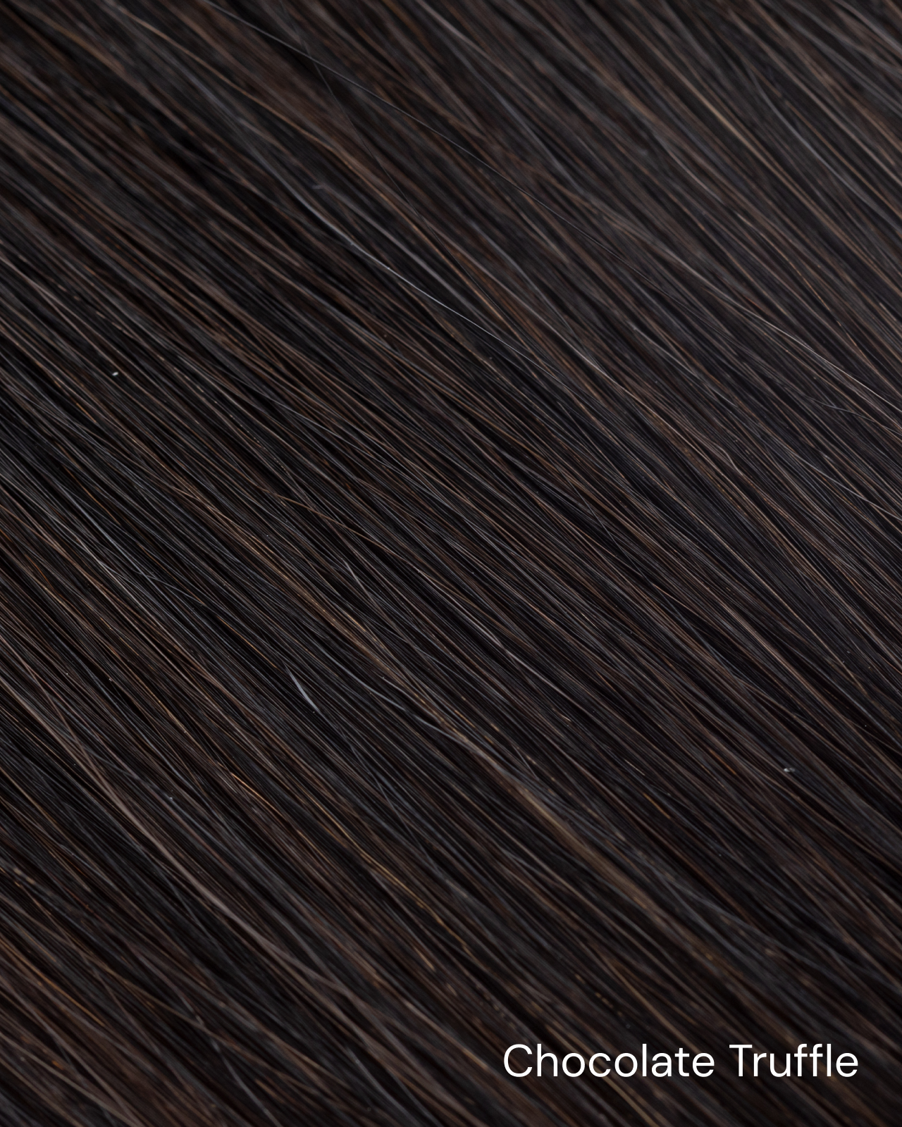 chocolatetruffle