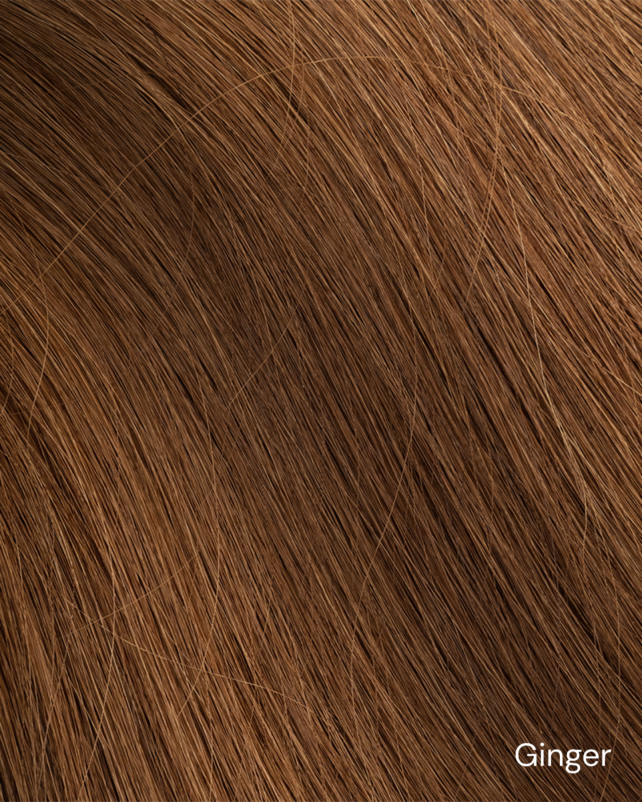 ginger