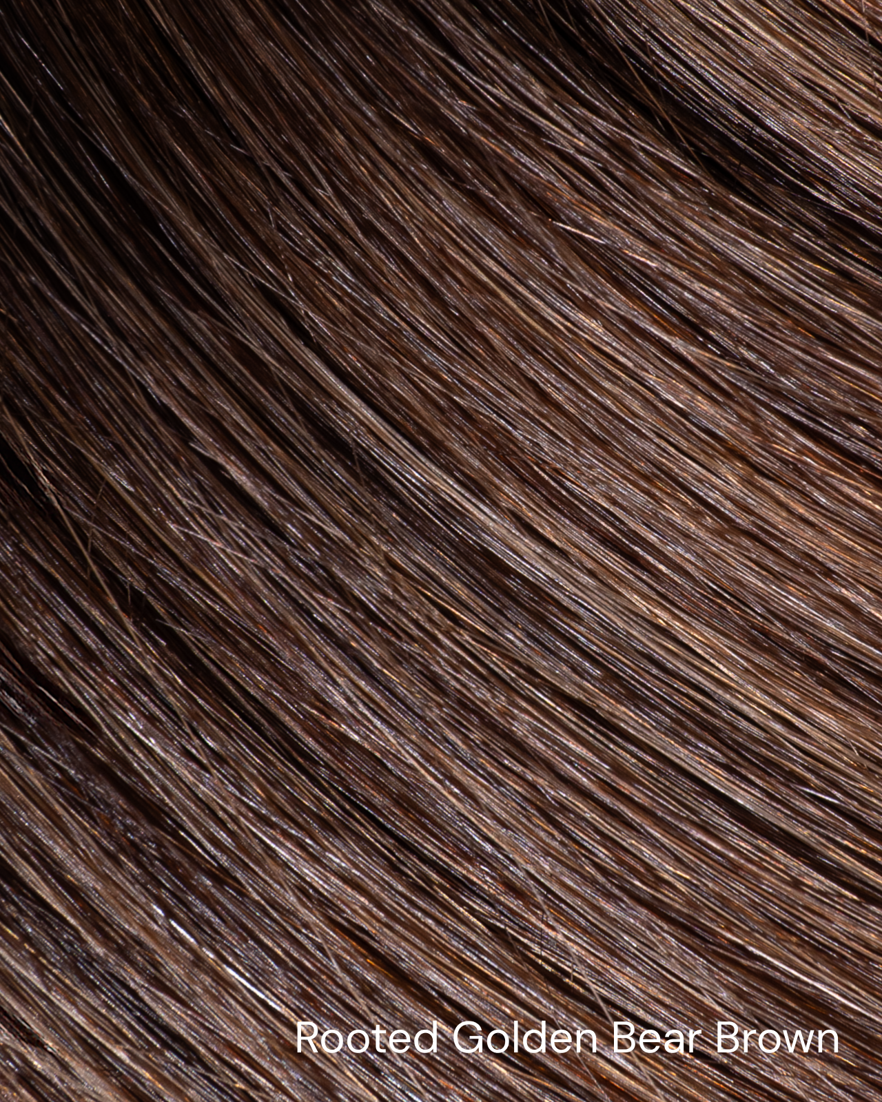 rootedgoldenbearbrown