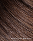 rootedgoldenbearbrown